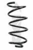 SPIDAN 86797 Coil Spring